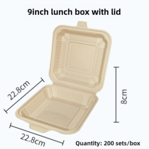 Reduce Your Restaurant’s Carbon Footprint with Corn Starch Partitioned Lunch Boxes