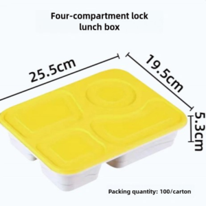 Why Plastic Partitioned Lunch Boxes Are a Must-Have for School Lunch Programs